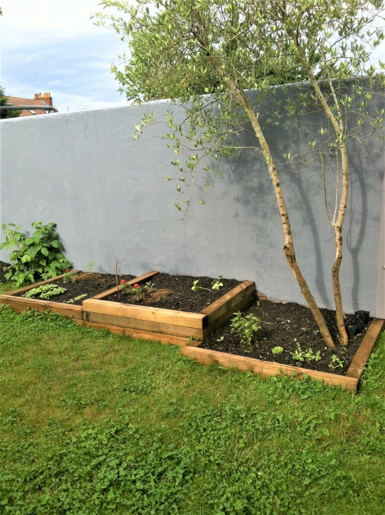 aménagement de jardin de ville (1)