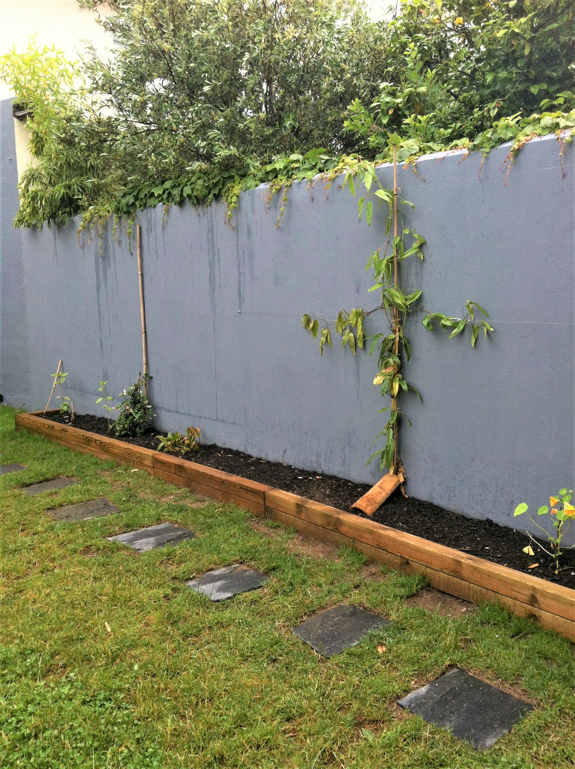 aménagement de jardin de ville (6)