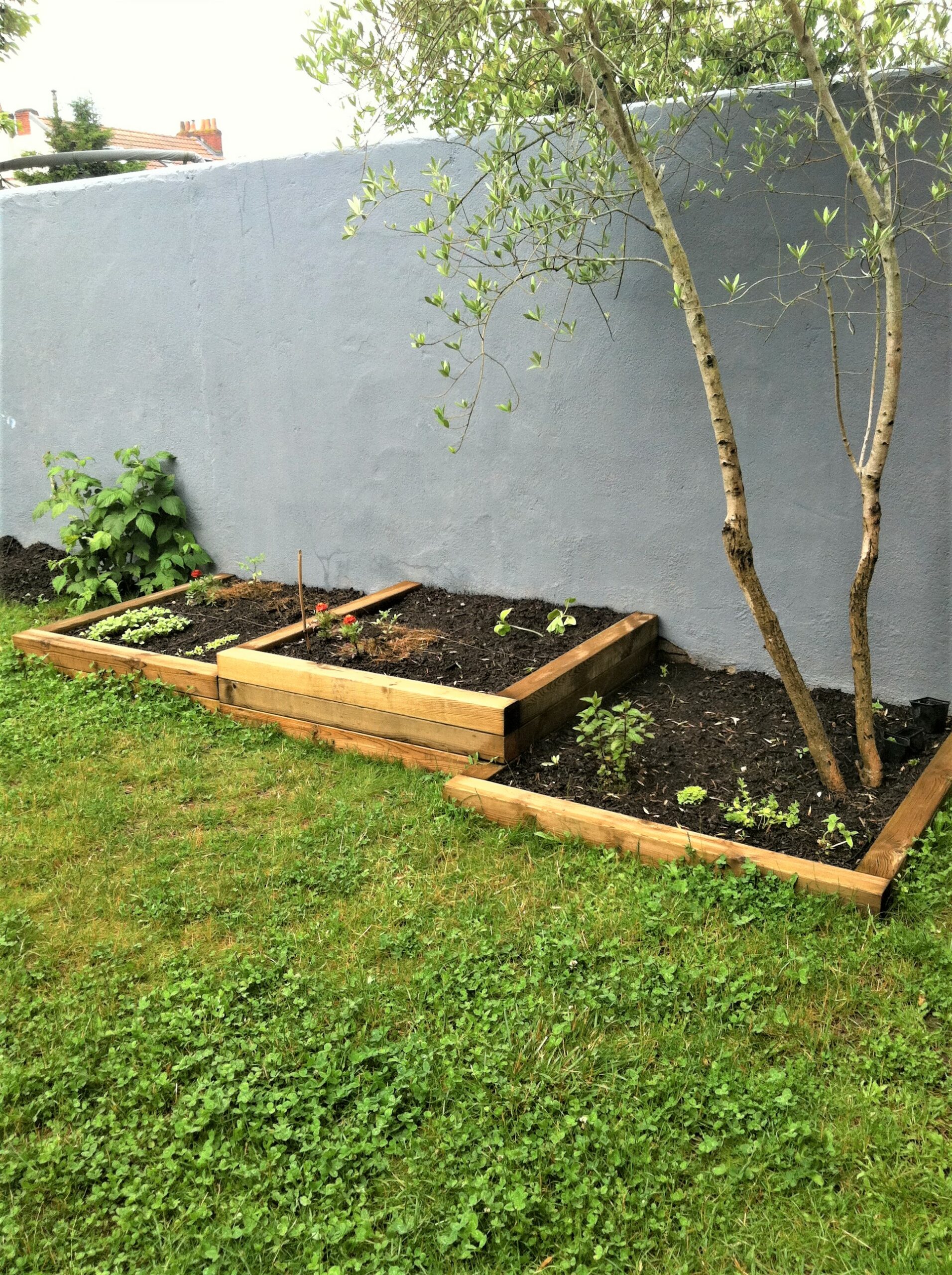 potager en poutre de pin
