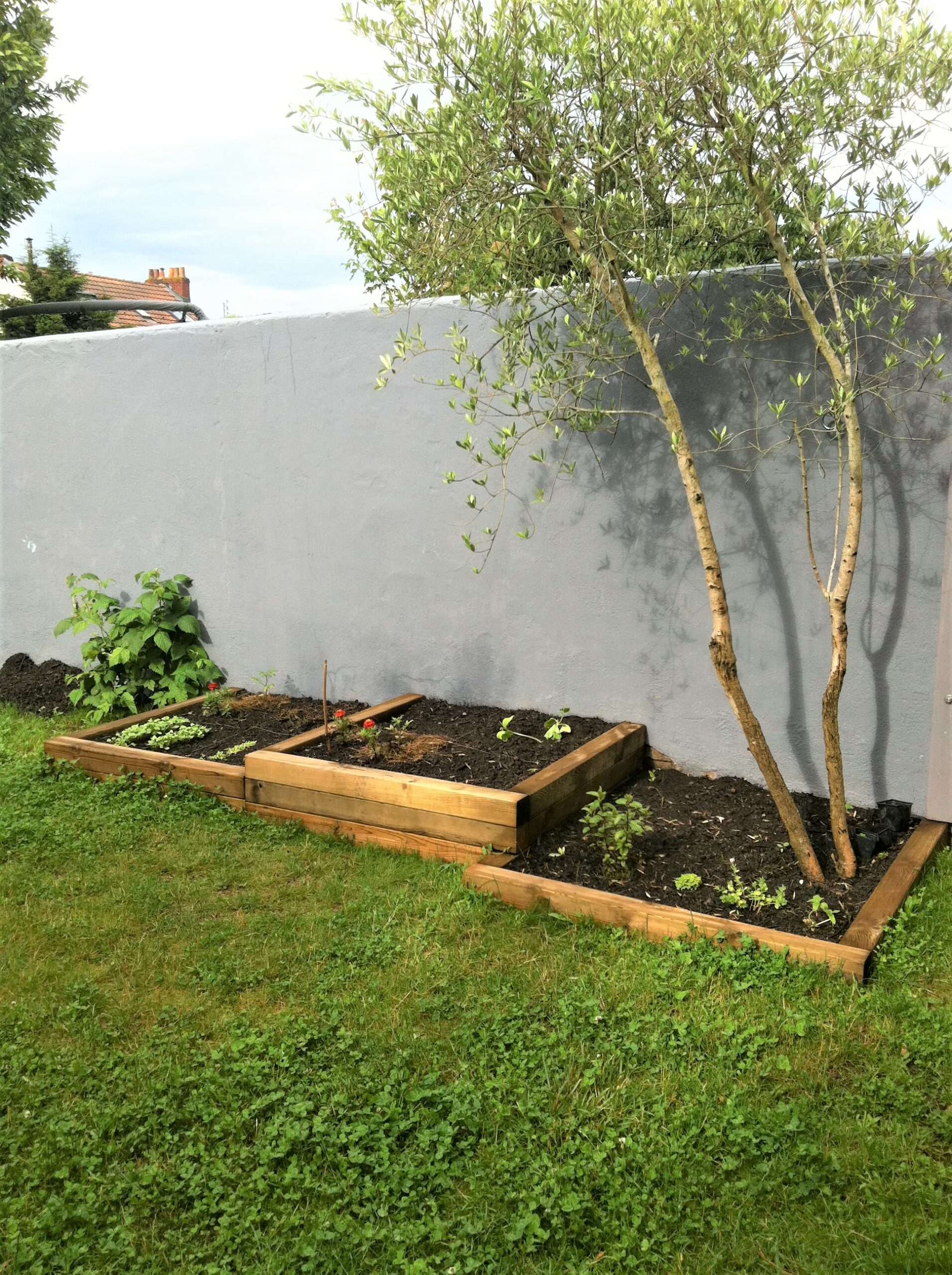 potager en poutre de pin
