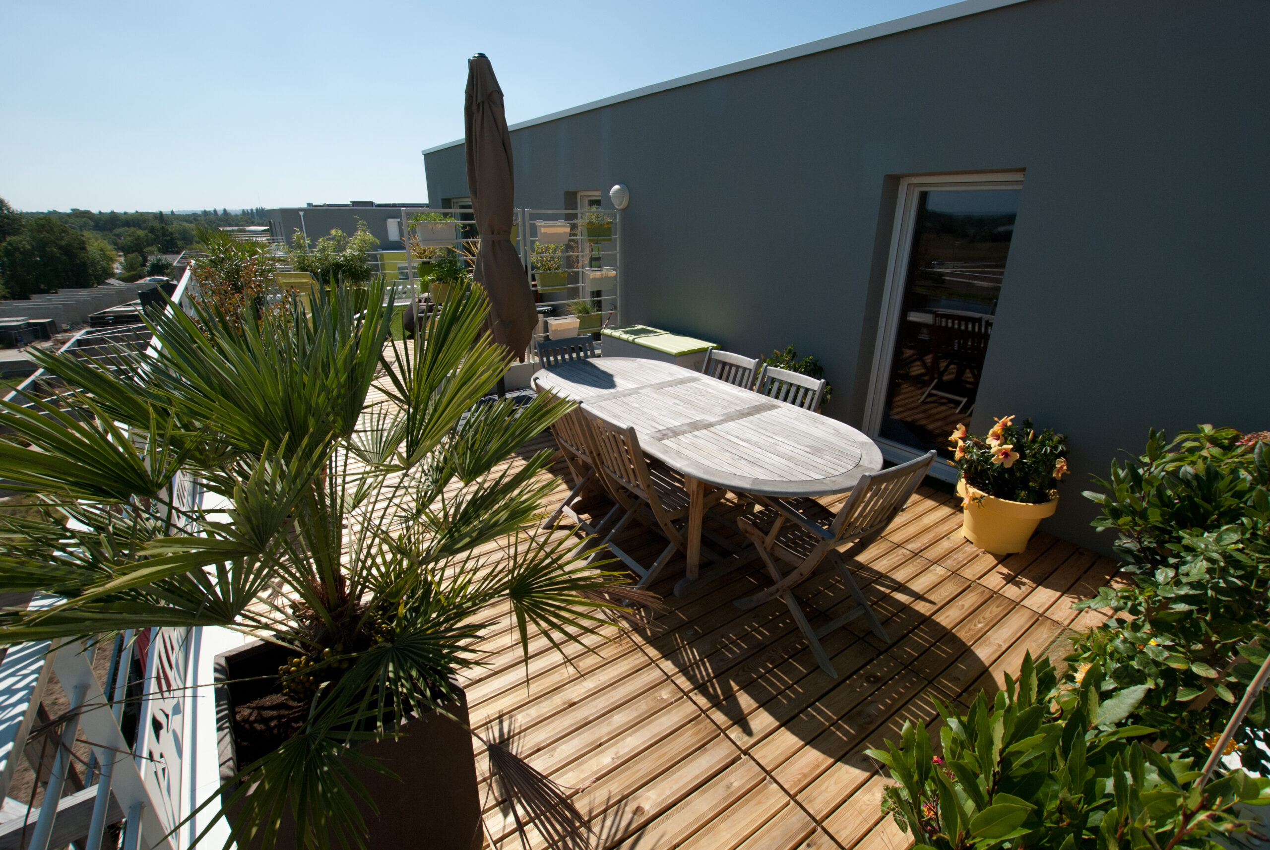 gazon synthétique sur terrasse, séparation en deux espaces distinct, plantes et pots, chamaerops